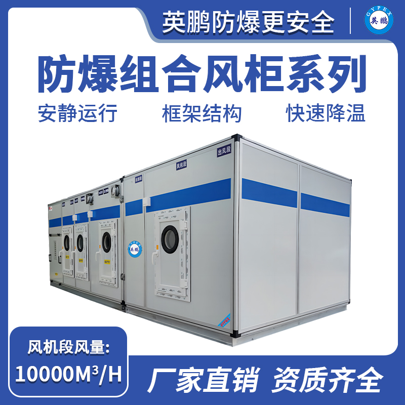 防爆组合风柜系列10000